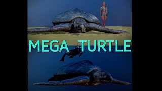 The Largest Turtle Ever Archelon 3D size visualization [upl. by Euqinot]