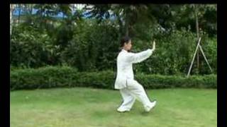 Wu Style Taiji Quan Square Form 吳式太極拳方拳 16 [upl. by Hendrika]