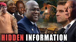 Renown Professor Exposes the Truth About Africas Growing Influence [upl. by Adnwahsal318]