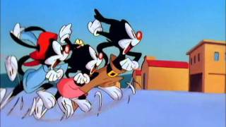 Animaniacs Season 1 Episode 1 [upl. by Myrwyn]