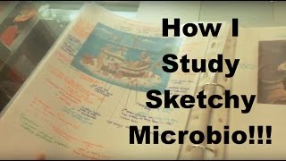 How to study SKETCHY [upl. by Nnyltiac]