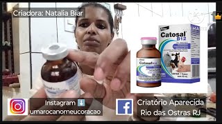 Catosal B12 Vitamina pras Galinhas e Aves [upl. by Cocks824]