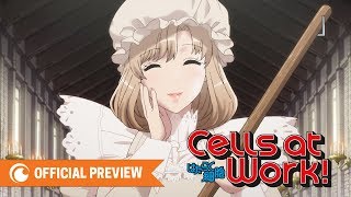 Cells at Work  OFFICIAL PREVIEW [upl. by Airamanna]