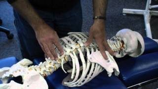 Rotation amp Lateral Bending of Thoracic Spine  Prone Position [upl. by Yntruoc820]