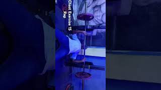 Chast Exersise chastworkout gym viral youtube fitness [upl. by Karilynn]