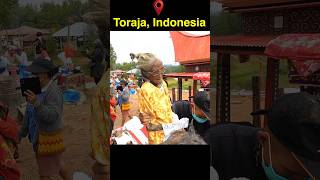 Indonesia 🇮🇩 where people live with dead bodies sulawesi torajavlog indonesia manene [upl. by Brocky764]