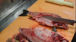 Karpfen zerlegen und filetieren  How to cut and filet carp [upl. by Irwin]