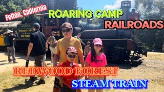 Roaring Camp RailroadRedwood Forest Steam Train Summer 2023 [upl. by Josias]