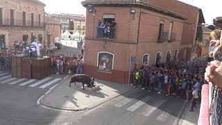 Rueda VA El toro de la vendimia 2022 [upl. by Backer]