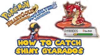 Pokemon HeartGoldSoulSilver  How to catch SHINY GYARADOS [upl. by Yanetruoc]