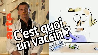 A quoi ça sert un vaccin   Alain Froment  Tu mourras moins bête  ARTE [upl. by Eiblehs]