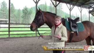 How to Adjust Standing Martingale on Your Horse [upl. by Eecart]