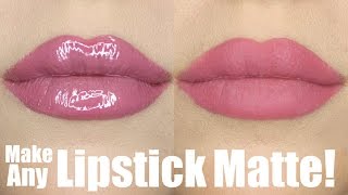 How to Make ANY Lipstick MATTE Cheap  Easy  STEPHANIE LANGE [upl. by Kiri]