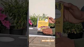 Unboxing bio pesticides ⚡️triple attack ✨️biopesticides biopesticide meaning [upl. by Kcirdahs410]