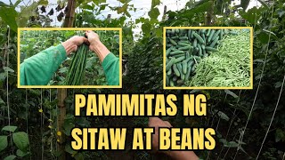 PAMIMITAS NG STIAW AT BEANS [upl. by Mills74]