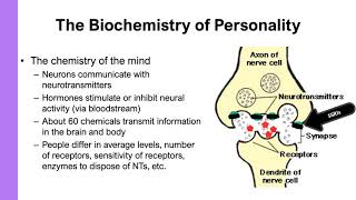 The Neurochemistry of Personality [upl. by Nylrac]