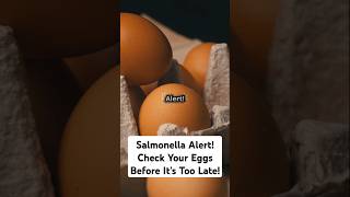 Salmonella Alert Check Your Eggs Before It’s Too Late shorts [upl. by Fortunna354]