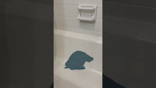 Lost 300  days refinishing bathtub with bathworks refinishing kit  DIY fail  Renovation mistake [upl. by Clemmy]