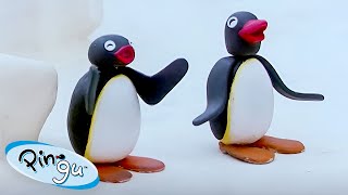 Pingu Causes Mischief 🐧  Pingu  Official Channel  Cartoons For Kids [upl. by Einnej]