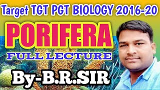 TGT PGT BIOLOGY 2020 Phylum Porifera full lecture  most important points of porifera  BRSir [upl. by Harac]