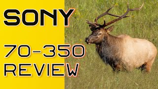 Sony 70350 G Lens  Best APSC Wildlife Lens  Sony a6700 Test Images [upl. by Malamud745]