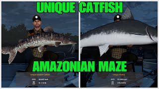 Unique Catfish Guide But With Lure  At The Amazonian Maze  Fishing Planet [upl. by Halvaard]