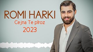 Romi Harki  Cejna Te Pîroz [upl. by Junette]