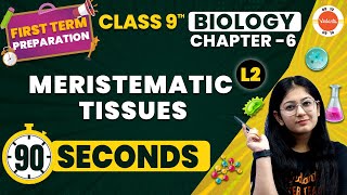 Meristematic Tissues One Shot in 90 Seconds  Tissues  NCERT Class 9 Biology Chapter6 CBSE2024 [upl. by Urien237]