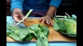 Prepare Collard Greens for Cooking Washing Cleaning and Cutting [upl. by Kreg]