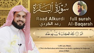 سورة البقرة كاملة للقارئ رعد الكردي  full surah Al Baqara ـRaad Alkurdi [upl. by Olraced]