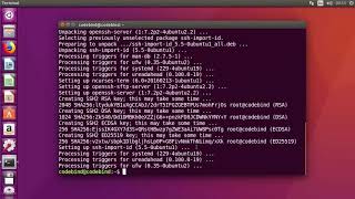 How to Enable SSH in Ubuntu 1804 LTS  Ubuntu 2004 Install opensshserver [upl. by Bulley]