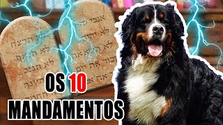 OS 10 MANDAMENTOS CANINOS  ReflexÃ£o Seja um dono MELHOR [upl. by Sellig411]