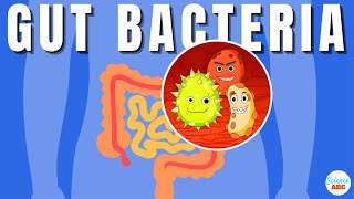 Gut Microbiome Explained in Simple Words [upl. by Kathe]