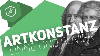 Theorie der Artkonstanz – Linné und Cuvier – Evolution [upl. by Pozzy]