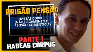 Habeas Corpus prisão Civel parte 1 [upl. by Ayatan]