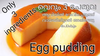 എപ്പോഴും വീട്ടിൽ ഉണ്ടാവുന്ന 3 ചേരുവ കൊണ്ട് ഒരു അടിപൊളി pudding Easy Caramel pudding in Malayalam [upl. by Asecnarf]