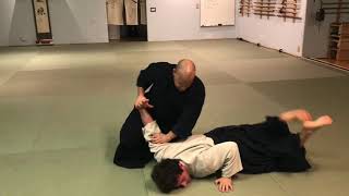 Aikido HanmiHandachi Ikkyo MoroteDori [upl. by Senilec]