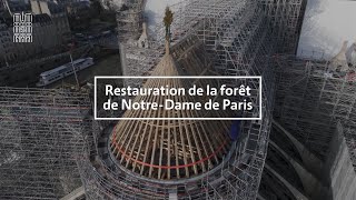 Restauration de la quotforêtquot de NotreDame de Paris [upl. by Stortz246]