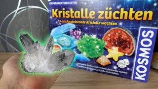 Kristalle selber züchten😳  Funktioniert das [upl. by Alyk906]