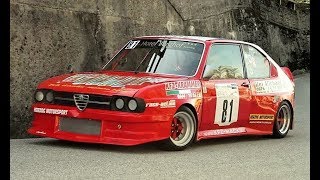 9000Rpm Alfa Romeo AlfaSud  190Hp650Kg Classic Naturally Aspirated Race Car [upl. by Surtemed]