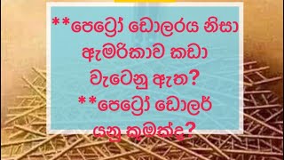 පෙට්‍රෝ ඩොලරය නිසා ඇමරිකාව කඩා වැටෙනු ඇතsrilanka Is this end of US dollar Petro dollar agreement [upl. by Liuqnoj]