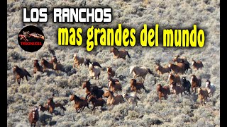 LOS RANCHOS MAS GRANDES DEL MUNDO El rancho mas grande del mundo [upl. by Tillford458]