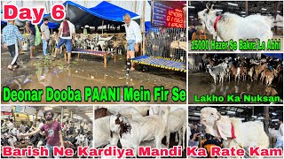 Deonar Bakra Mandi Day 6 Night Latest Update 11 June 2024  Barish Se Fir Dooba Deonar Paani Mein [upl. by Atterol990]