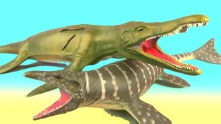 Dinosaur Fight MOSASAURUS vs PLIOSAURUS Reptiles Battle Jurassic SuperFunReviews [upl. by Aisena196]