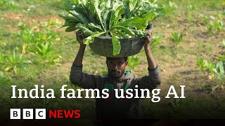 Artificial intelligence comes to farming in India  BBC News [upl. by Lamarre27]