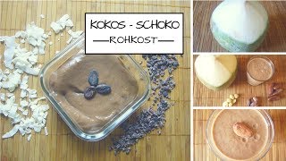 Vegane Rohkost Schoko Kokos Drink [upl. by Esinrahs120]