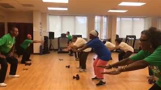 Strength Training Workout for Older Adults [upl. by Leachim]