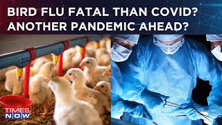 Is Bird Flu Fatal Than Covid Health Officials Raise Concerns Warns Of Another Possible Pandemic [upl. by Inva]