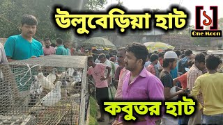 Uluberia pet market  Current Exotic Pigeons Price Update at Uluberia 06042024 Visit  One Moon [upl. by Tronna245]