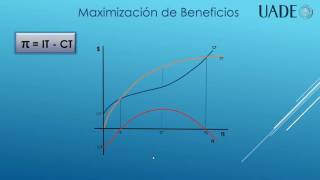 Maximización de Beneficios [upl. by Aciretnahs178]